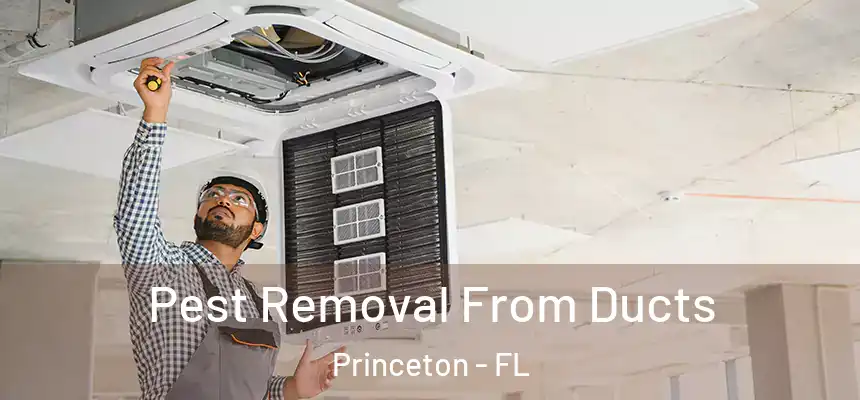  Pest Removal From Ducts Princeton - FL