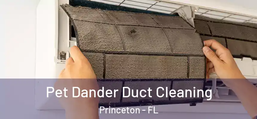  Pet Dander Duct Cleaning Princeton - FL