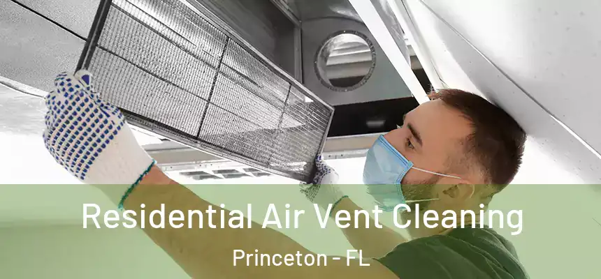  Residential Air Vent Cleaning Princeton - FL