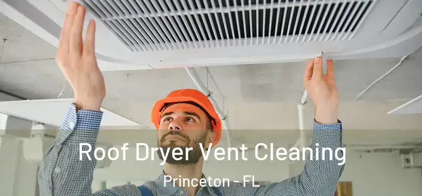  Roof Dryer Vent Cleaning Princeton - FL
