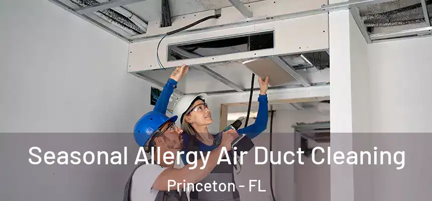 Seasonal Allergy Air Duct Cleaning Princeton - FL