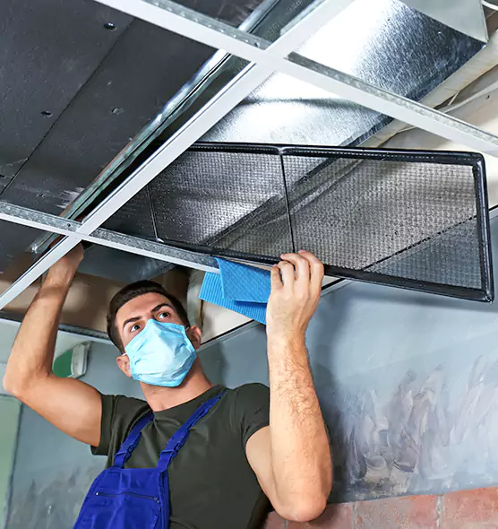About Air Duct Bacteria Removal in Princeton