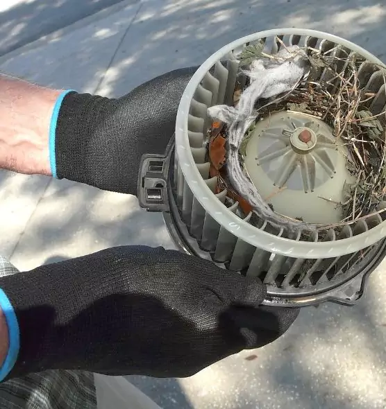 About Air Duct Mice Removal in Princeton, FL