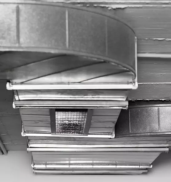 Professional Air Duct Pest Removal in Princeton, FL