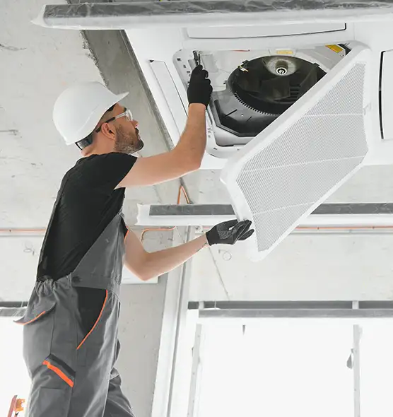 About Air Duct Rodent Removal in Princeton, FL