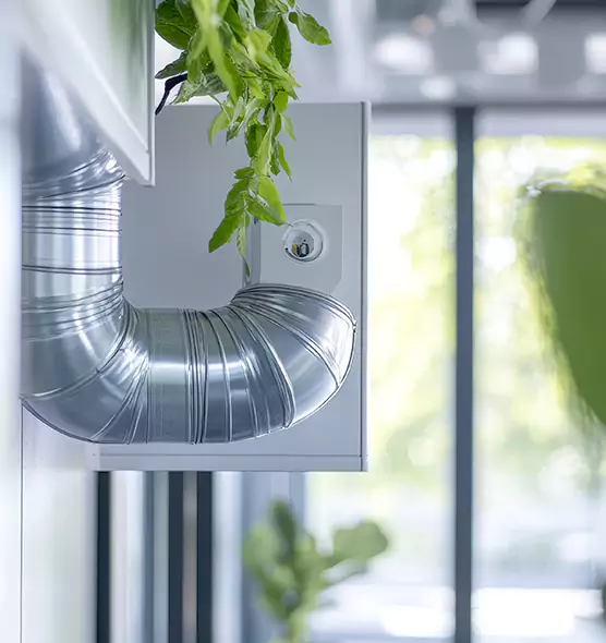 Professional Eco-Safe Dryer Vent Cleaning in Princeton, FL