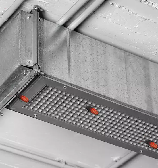 Affordable Insect Removal from Air Ducts in Princeton, FL