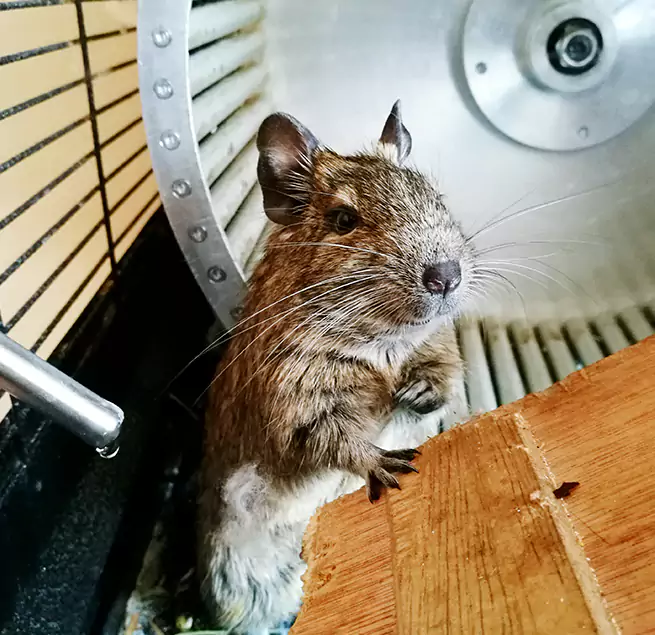 Why Homeowners & Businesses Trust Us Princeton, FL