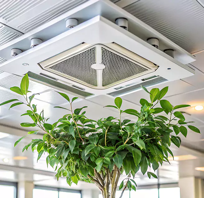 Why Homeowners & Businesses Trust Us in Princeton, FL