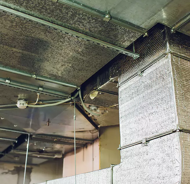 Why Homeowners & Businesses Trust Us in Princeton, FL?