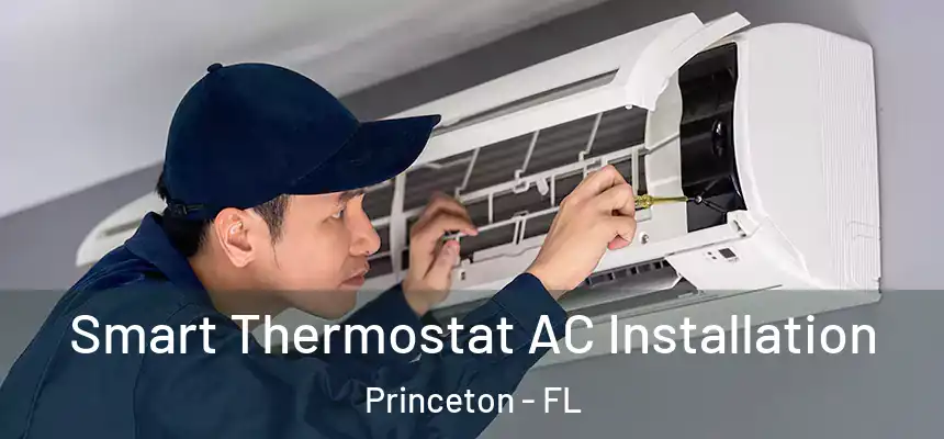  Smart Thermostat AC Installation Princeton - FL