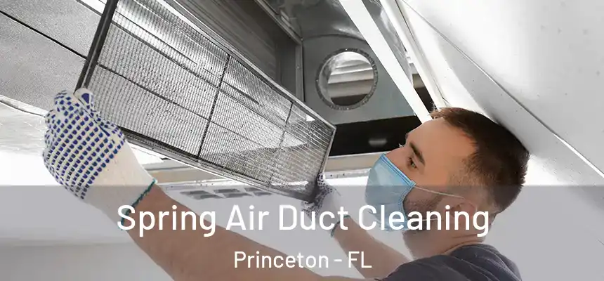  Spring Air Duct Cleaning Princeton - FL