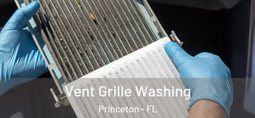  Vent Grille Washing Princeton - FL
