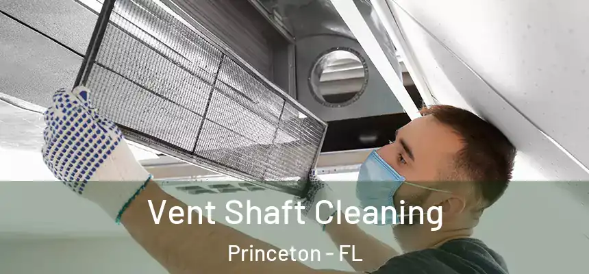  Vent Shaft Cleaning Princeton - FL