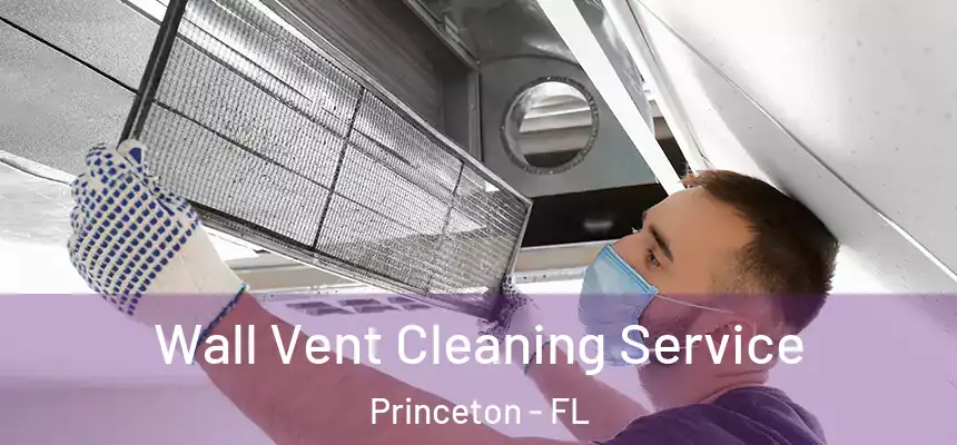  Wall Vent Cleaning Service Princeton - FL